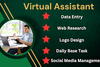 be virtual assistant for data entry web research data input