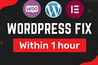 fix wordpress issues,problems, bugs, and errors database error wordpress website