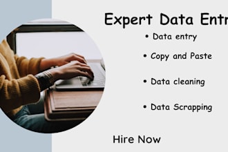 do data entry, web scraping, excel, typing, copy paste work
