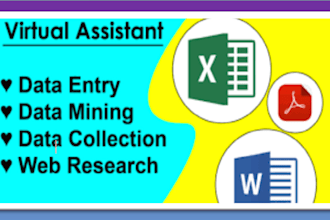 be virtual assistant of data entry, document conversion, etc