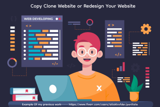 copy clone website or redesign your website into mern