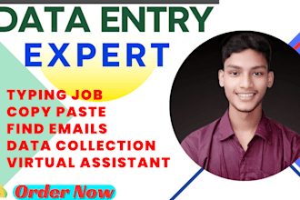 do faster data entry, virtual assistant, find emails, data collection