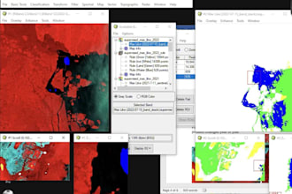 analyze satellite imageries make maps and write gisbased reports