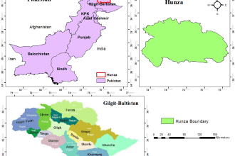 do any geo spatial analysis or cartography using rs and gis