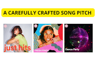 write your spotify song pitch