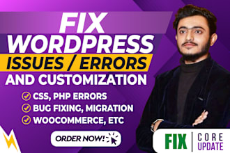 fix wordpress issues, errors, bugs, css, provide wp help