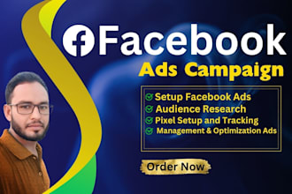 be a professional facebook ads campaign expert