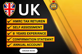 prepare and submit the UK self assessment tax return and submit into hmrc