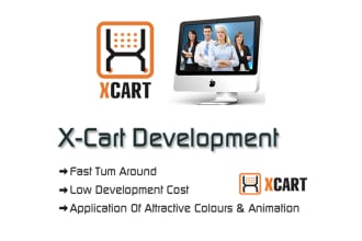 do any type of work in xcart store