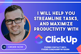 provide professional clickup setup and consultation services