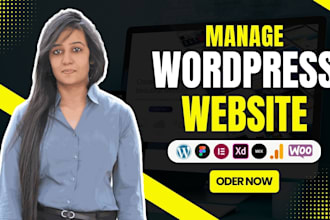 maintain and manage wordpress website