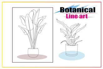 draw botanical line art illustration flower,plant,fruits for you