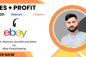 do professional amazon to ebay dropshipping of top listings