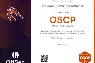 perform expert web app and API penetration testing