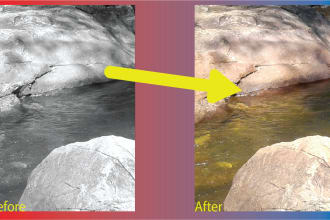 colorize black and white images