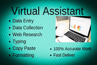 do data entry lead generation as admin support or VA expert