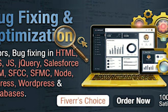 do bug fix optimize in HTML CSS js jquery react node express sfcc sfmc wordpress