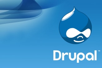 update drupal and fix bugs on your drupal website
