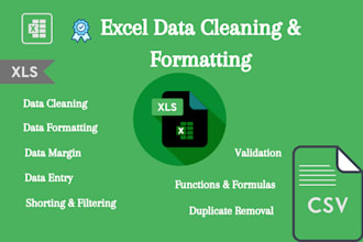 clean excel with up to 1000 rows per 10 column per rows