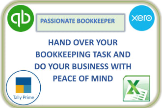 provide professional bookkeeping and accounting services tally xero excel