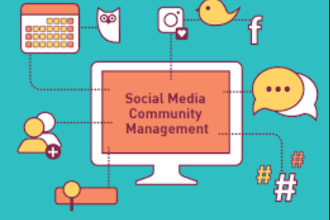 be your community manager, nft discord telegram moderator