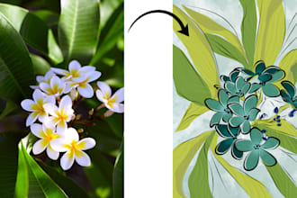 make digital illustrations for you