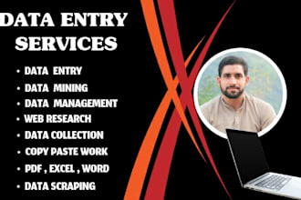 streamline your data,fast and accurate entry solutions