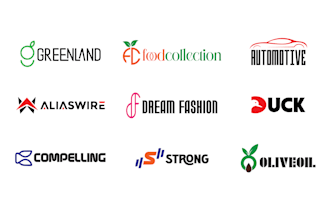 create modern and professional logo and corporate identity