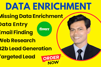 do data enrichment appending data entry company data etc