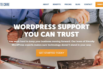build an premium wordpress website