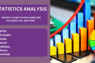 do statistical analysis, programming and business statistics
