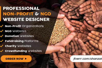 build userfriendly ngo, nonprofit, charity donation website