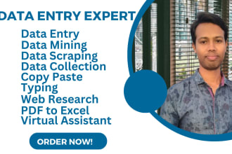 do data entry, copy paste, pdf to excel, web research job