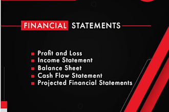 do US profit loss, balance sheet, financial analysis, business report, valuation