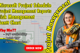 do project management assignment using microsoft project and make gantt chart