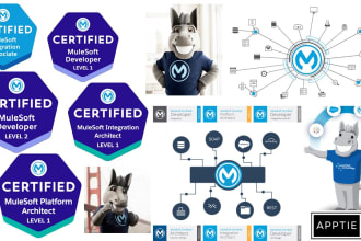 implement a product ready mulesoft application