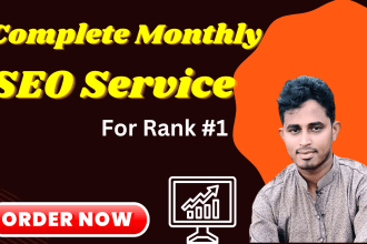 provide complete monthly SEO service for local business