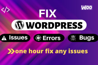 fix wordpress bugs and wordpress issues in one hour