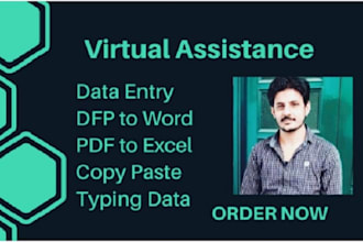 do a fast typing work, retype pages, pdf to word, fast typist