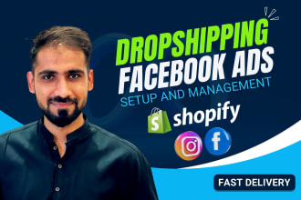 manage shopify dropshipping facebook ads campaign, insta marketing advertising