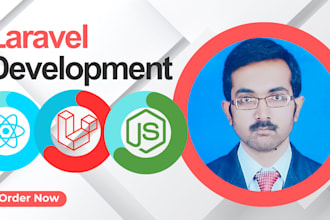 deliver professional laravel development services