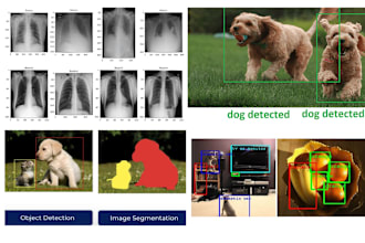 do image recognition, classification and object detection