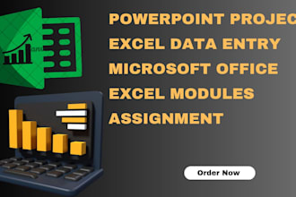 do ms words assignment formatting  excel data  powerpoint
