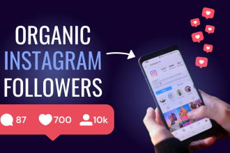 boost your instagram with organic promotion and growth