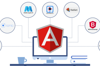 do web development in angular with modern UI UX