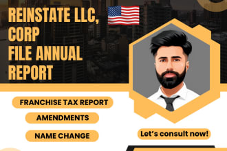 reinstate, file annual report for US llc, corporation
