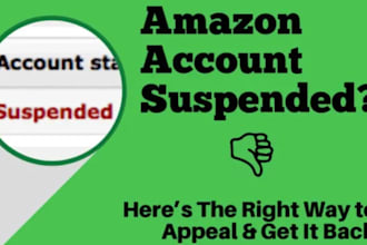 write amazon plan of action, appeal letter, and reinstate amazon account