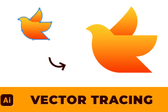 expert vector tracing service using adobe illustrator