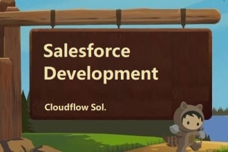 be your expert salesforce developer for custom apps and automation