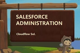 be your expert salesforce administrator for setup, config, and support